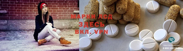 крисы Новозыбков