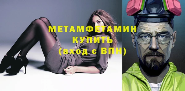 крисы Новозыбков