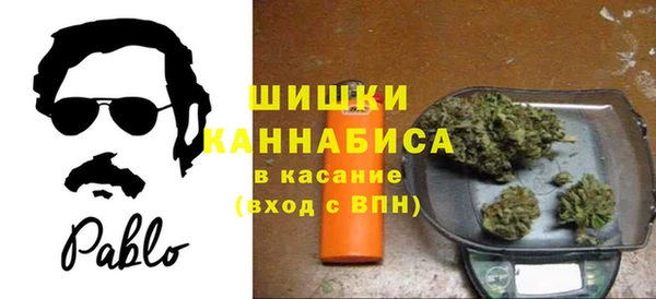 крисы Новозыбков