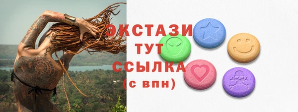 крисы Новозыбков