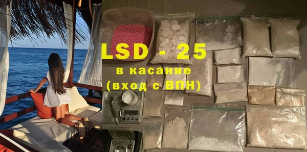 крисы Новозыбков