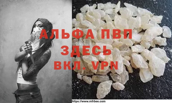 крисы Новозыбков