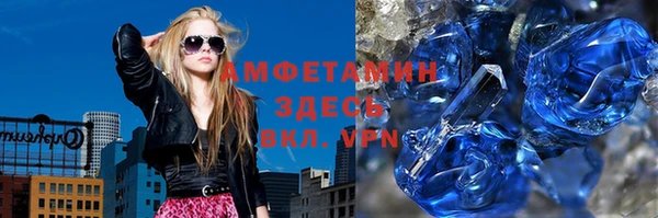 крисы Новозыбков