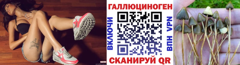 Псилоцибиновые грибы прущие грибы  Шумерля 