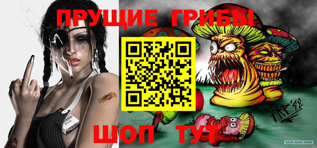 Шумерля  Псилоцибиновые грибы Magic Shrooms  Вход с VPN 