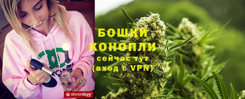 Канабис Ganja  MEGA как войти  Шумерля  купить наркотик 